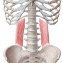 몸짱만들기GYM 이미지