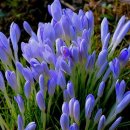 은혜산업 이미지