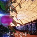 곡성 섬진강 기차마을 이미지