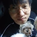 해피치 쇼핑몰