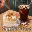 부산 다대포 / 오션뷰와 수제 케이크가 매력적인 '다대드라 전망대점' 후기 (주차 가능, +다대도서관📖)