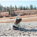 태창빌딩 | 일상에 건강한 에너지를 더하는 나만의 비밀 장소