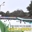 위천면사무소 | 경남 거창 수승대 눈썰매장 아이랑 가볼만한곳 추천