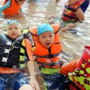 강아지 테마파크 이미지