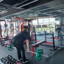 헬스피티 이미지