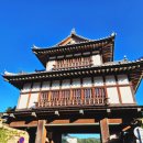 (주)덕해 | [대마도 혼자 패키지 여행] 부산 출발 대마도 배편 &amp; 여행 코스 추천