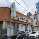 탱탱만두 이미지