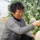 곡성멜론 주식회사 이미지
