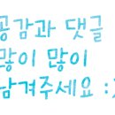 인셀덤SS