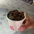 2024도째비야시장도째비떡볶이 | 강원도 동해 여행 묵호 도째비야시장 먹거리 주차 정보 가격 후기