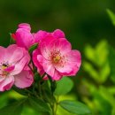 행정사 희망 사무소 이미지