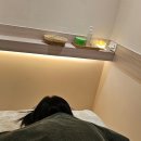 풋앤바디샵 이미지