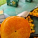 워커힐스크린골프 | 경상남도 김해시 워커힐스크린골프, 후기, 영업시간, 위치