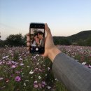 율목공원 화장실 이미지