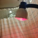 신익순한의원 이미지