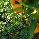 성의농장 이미지