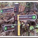 가야유원지 등산로 이미지