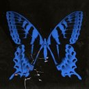 으라차차멍 | 올해의 마무리도 역시