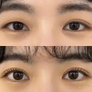 뉴밍샵 이미지