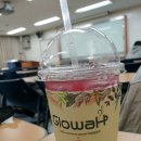 글로와 이미지