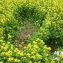 막무가내 이미지