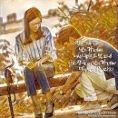 드라마DVD 이미지
