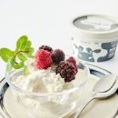 그릭요거트 100G 칼로리 포화지방 콜레스테롤 함량 당뇨엔? 이미지