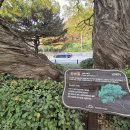 남양갈비 이미지