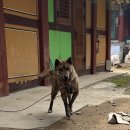 시골살이마을 | 등산 초보를 위한 월출산 나홀로 산행