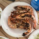 알프스캠핑장 이미지