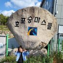 호포승마스쿨 이미지