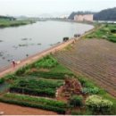 금호강5 이미지