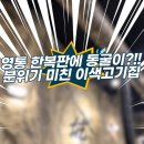 총무로연탄구이