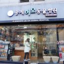 중계이오동물병원 이미지