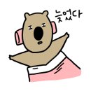 엘라뷰티 이미지