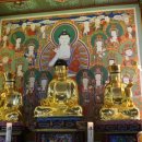 창원 성흥사 목조아미타여래삼존좌상 이미지