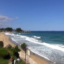 동해바다 이미지