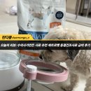 펫앤켓 | [콰트로펫] &#39;동결건조 코팅 콰트로&#39; 수의사가 직접 만든 사료