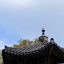 궁궐 이미지
