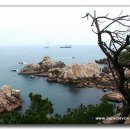 해안선 Daum카페