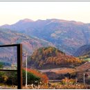 홀리가든민박 이미지