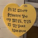 도안 센트롤시티 이미지