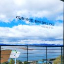 몰운대성당 | 다대드라 전망대점 :: 카페뷰 보면서 평일 오전의 여유