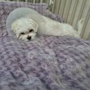 지에스25 센트럴정문 이미지