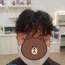 쎄미헤어 이미지