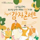 감자콘서트 이미지