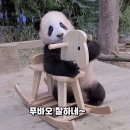 헤이;유