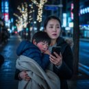 무릉도원면-21 이미지