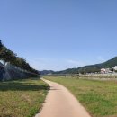 대차리 남대천변 이미지