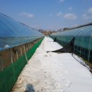 금산청계농장 이미지